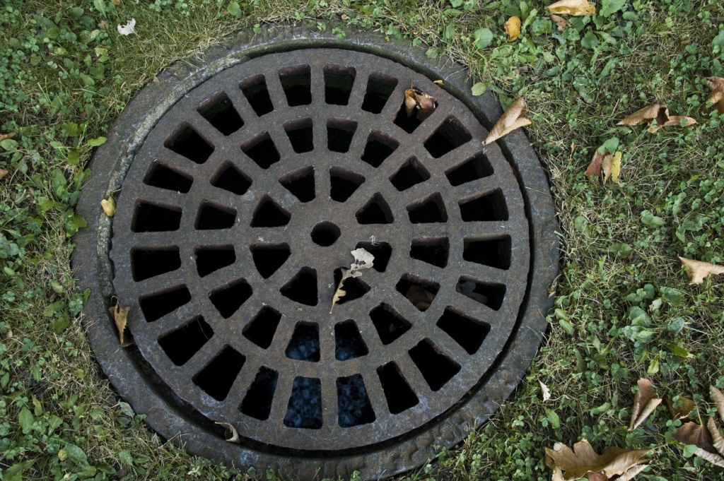 : A sewer drain in the backyard
