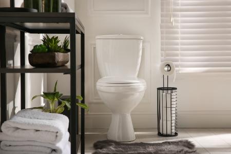 Five Reasons Your Bathroom Smells Bad