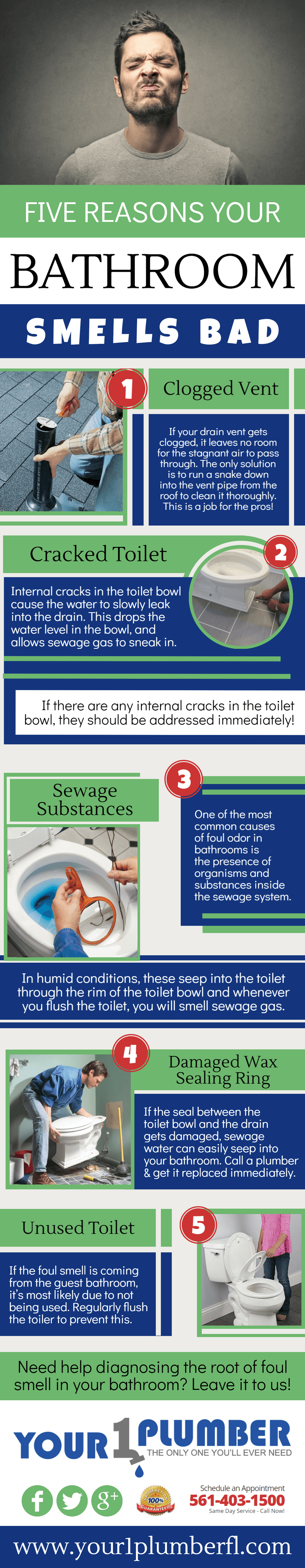 infographic