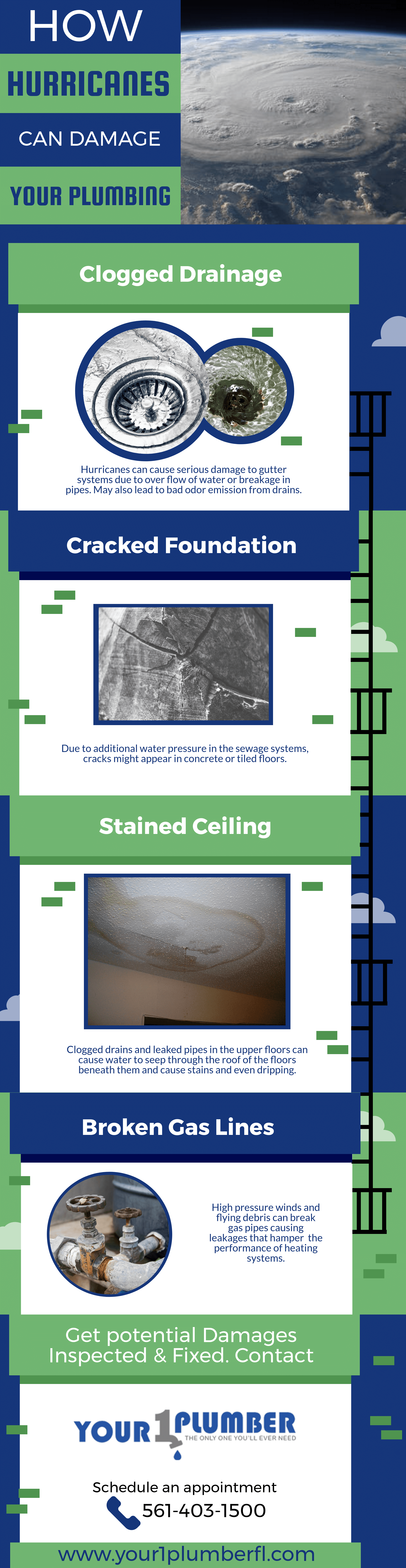 infographic