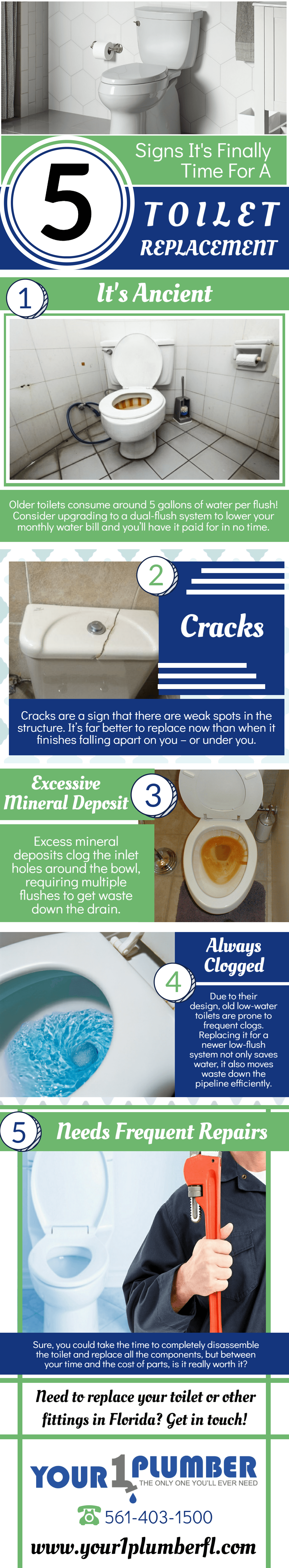infographic